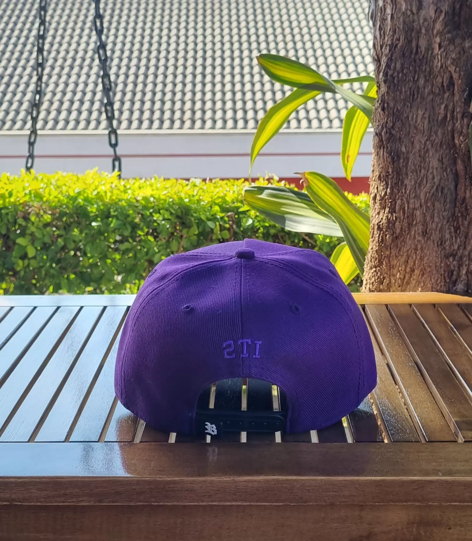 ROXO (3)
